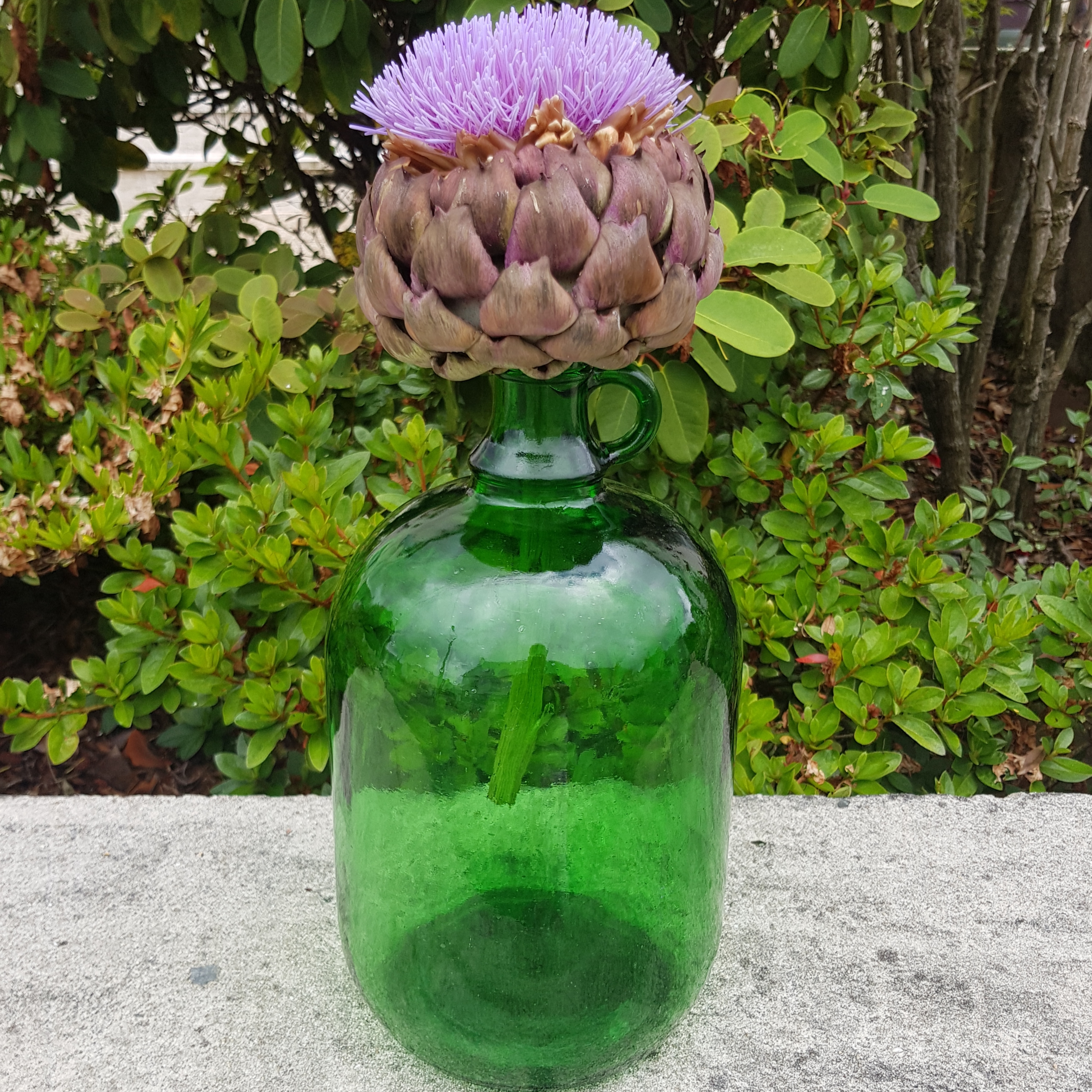 ancienne bouteille bonbonne decorative verte merveille et bout de chandelle