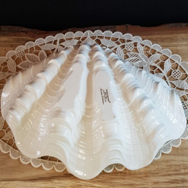 coquille benitier porcelaine wedgwood bone china collection nautilus brocante 3