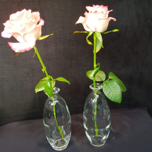paire vases verre moule merveille et bout de chandelle scaled