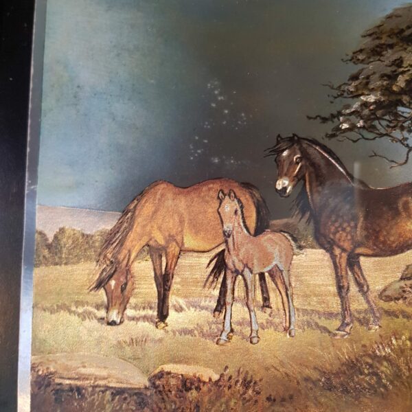 reproduction chevaux ninetta butterworth merveille et bout de chandelle 2 scaled