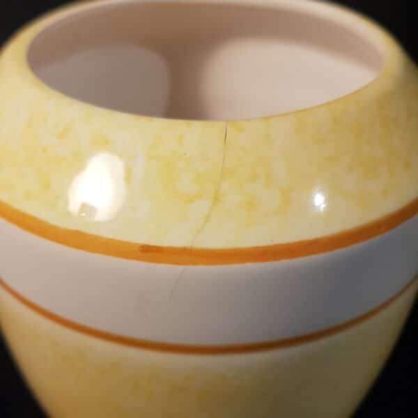 vase ceramique jaune fleurs merveille et bout de chandelle 6